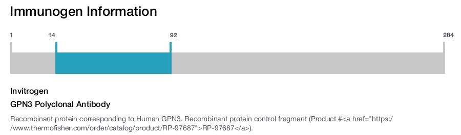 GPN3 Polyclonal Antibody