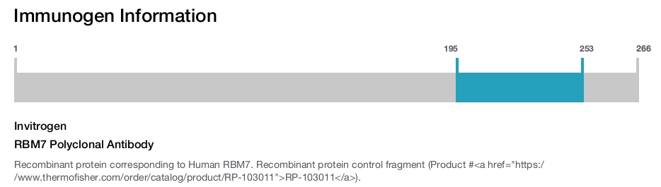 RBM7 Polyclonal Antibody