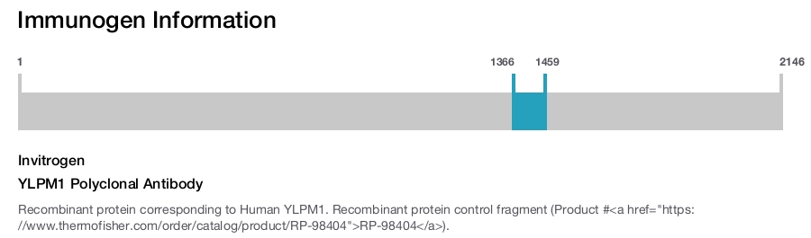 YLPM1 Polyclonal Antibody