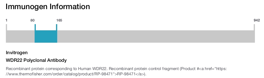 WDR22 Polyclonal Antibody