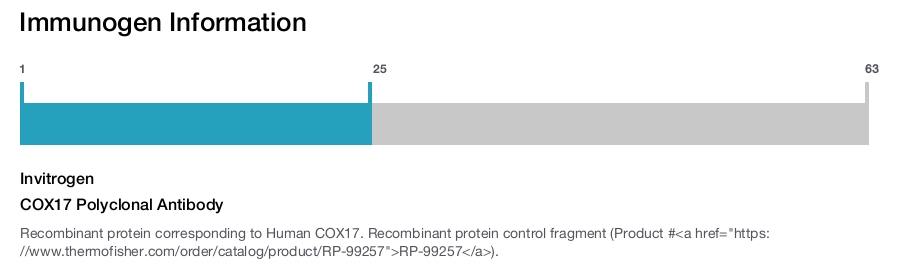 COX17 Polyclonal Antibody