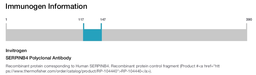 SERPINB4 Polyclonal Antibody