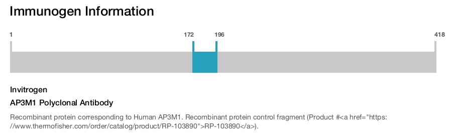 AP3M1 Polyclonal Antibody