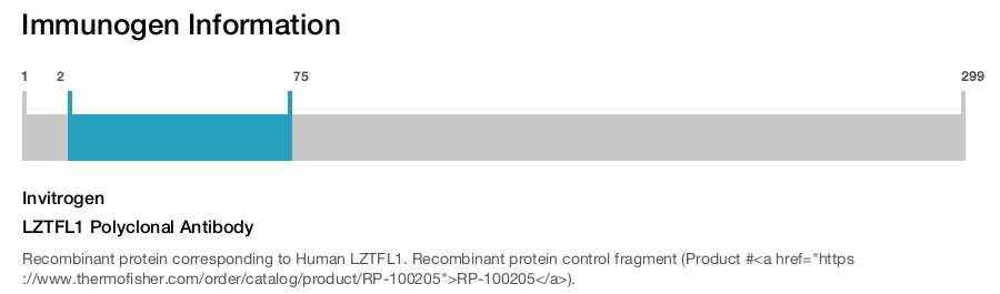 LZTFL1 Polyclonal Antibody