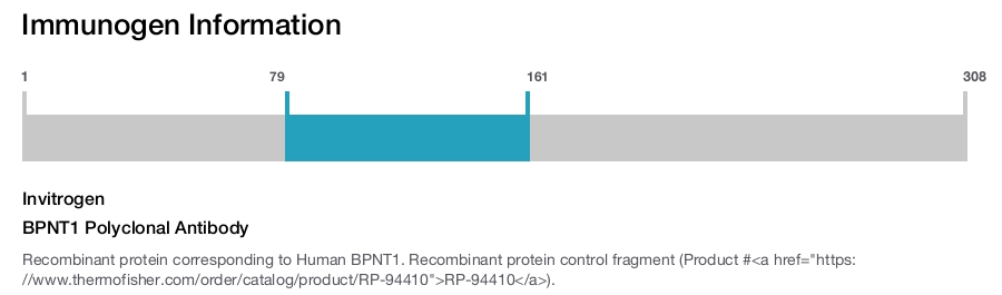 BPNT1 Polyclonal Antibody