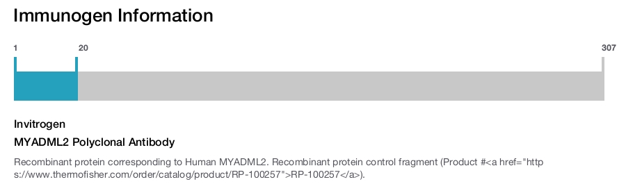 MYADML2 Polyclonal Antibody