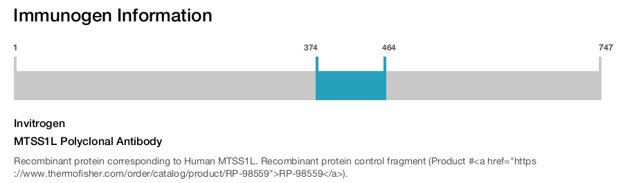 MTSS1L Polyclonal Antibody