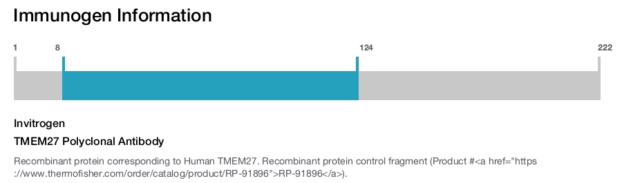 TMEM27 Polyclonal Antibody