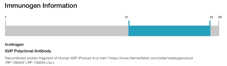 IGIP Polyclonal Antibody