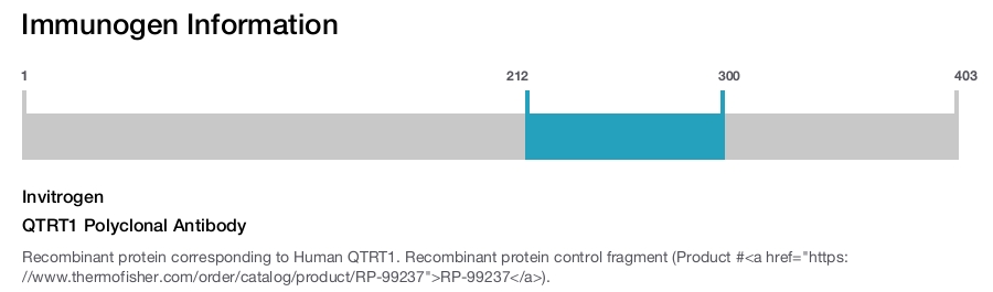 QTRT1 Polyclonal Antibody