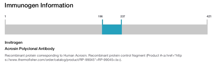 Acrosin Polyclonal Antibody