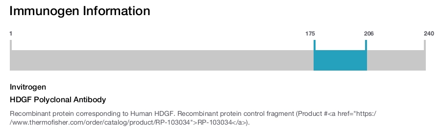HDGF Polyclonal Antibody