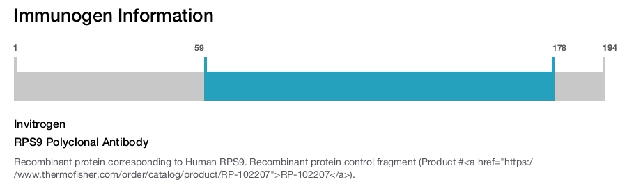 RPS9 Polyclonal Antibody