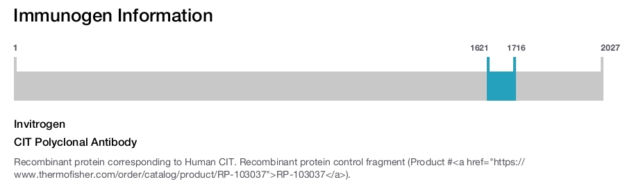 CIT Polyclonal Antibody