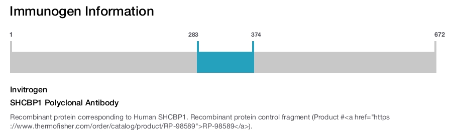 SHCBP1 Polyclonal Antibody
