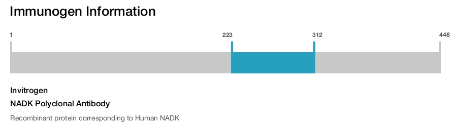 NADK Polyclonal Antibody