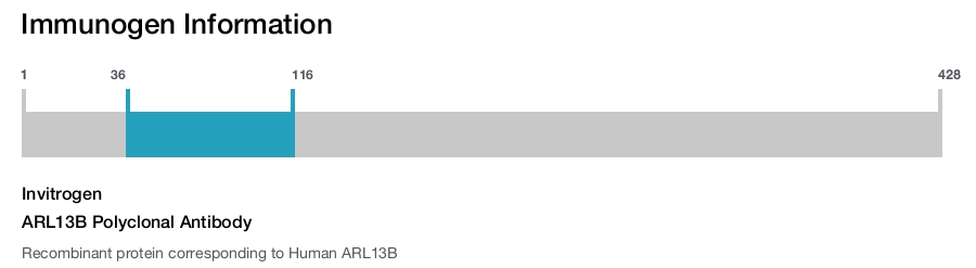 ARL13B Polyclonal Antibody