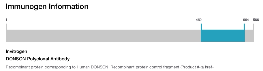 DONSON Polyclonal Antibody