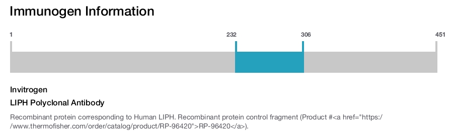 LIPH Polyclonal Antibody