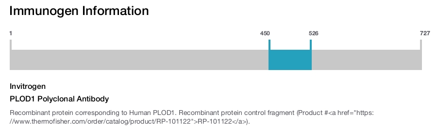 PLOD1 Polyclonal Antibody