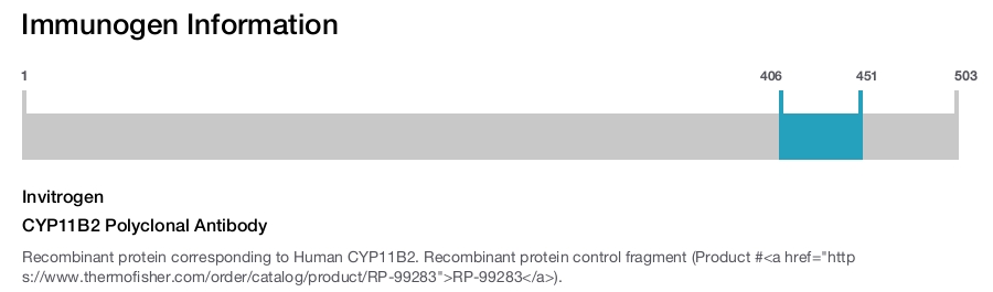 CYP11B2 Polyclonal Antibody