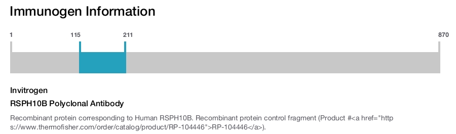 RSPH10B Polyclonal Antibody