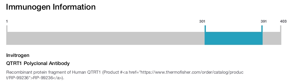 QTRT1 Polyclonal Antibody