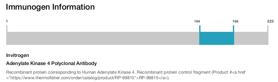 Adenylate Kinase 4 Polyclonal Antibody
