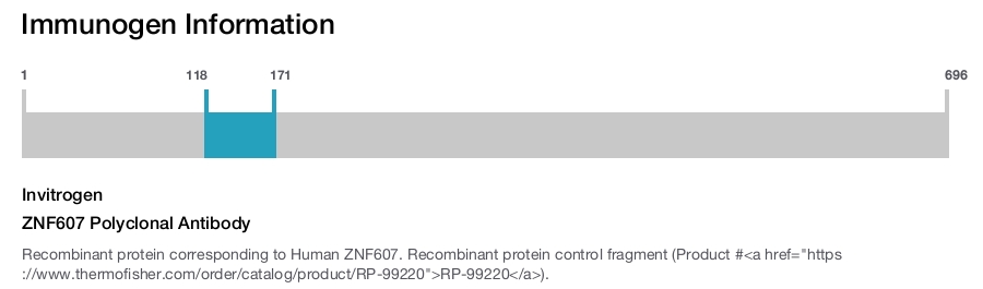 ZNF607 Polyclonal Antibody
