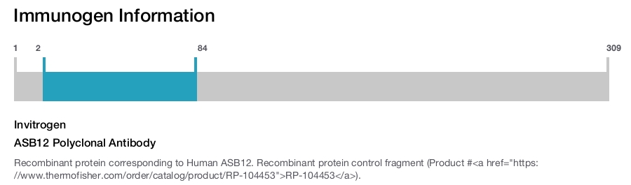 ASB12 Polyclonal Antibody
