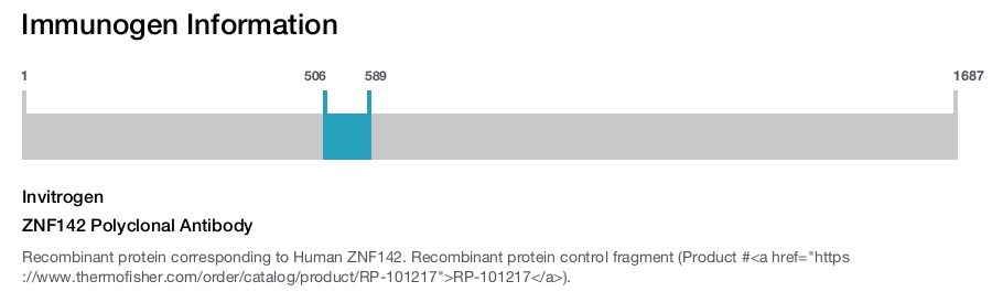 ZNF142 Polyclonal Antibody