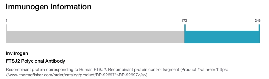 FTSJ2 Polyclonal Antibody