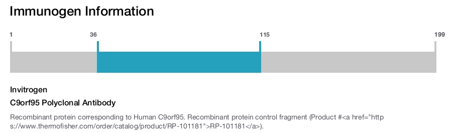 C9orf95 Polyclonal Antibody