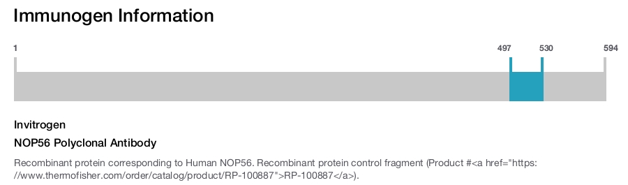 NOP56 Polyclonal Antibody
