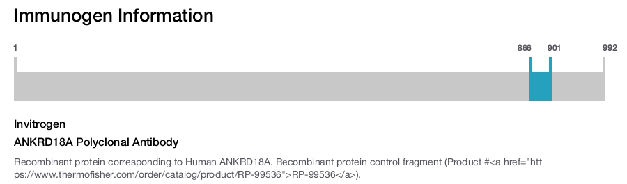 ANKRD18A Polyclonal Antibody