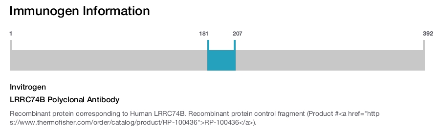 LRRC74B Polyclonal Antibody