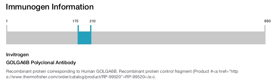 GOLGA6B Polyclonal Antibody