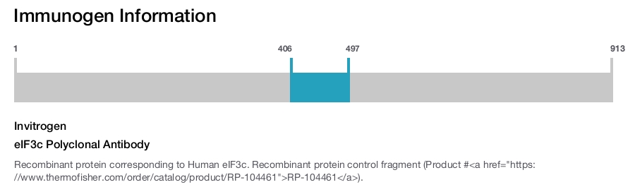 eIF3c Polyclonal Antibody