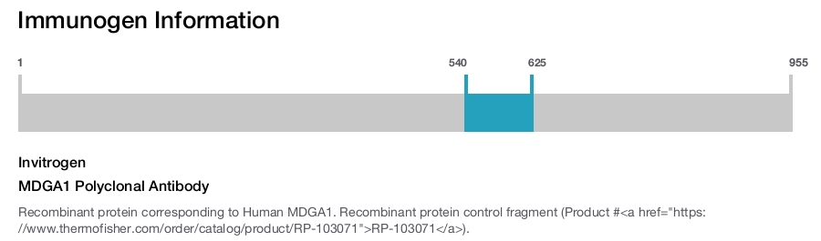 MDGA1 Polyclonal Antibody