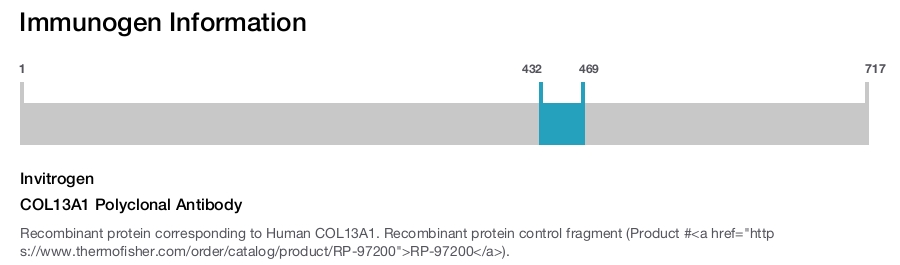 COL13A1 Polyclonal Antibody