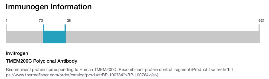 TMEM200C Polyclonal Antibody