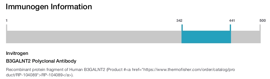 B3GALNT2 Polyclonal Antibody