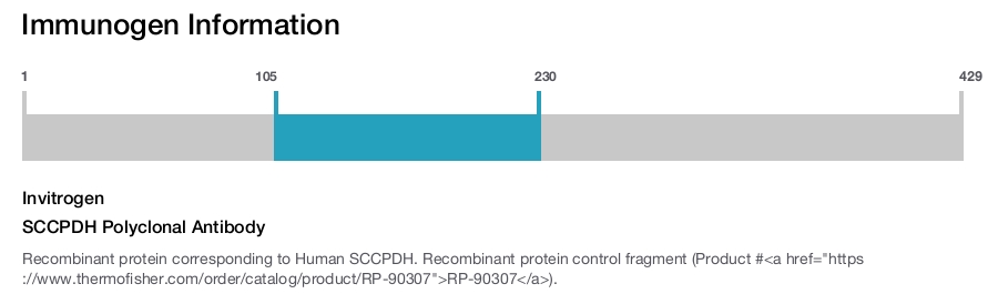 SCCPDH Polyclonal Antibody