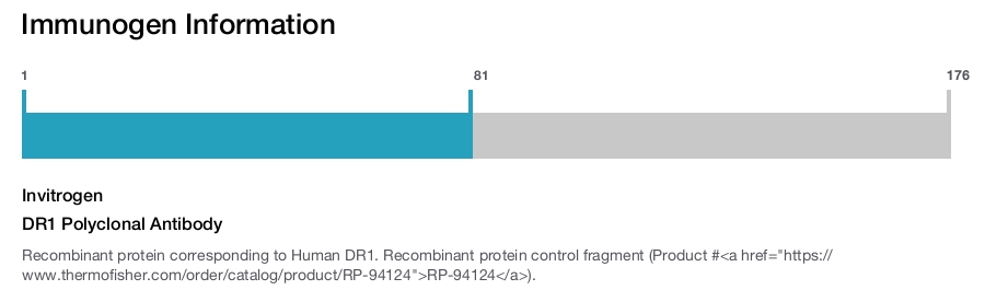 DR1 Polyclonal Antibody