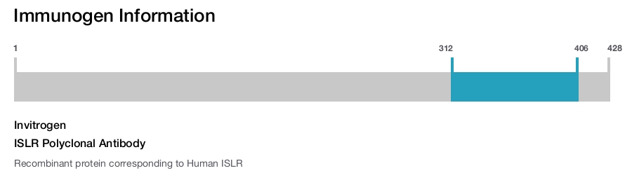ISLR Polyclonal Antibody