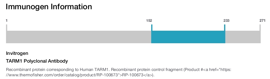 TARM1 Polyclonal Antibody