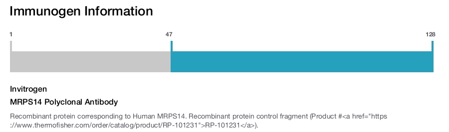 MRPS14 Polyclonal Antibody