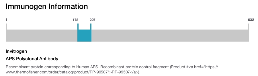 APS Polyclonal Antibody