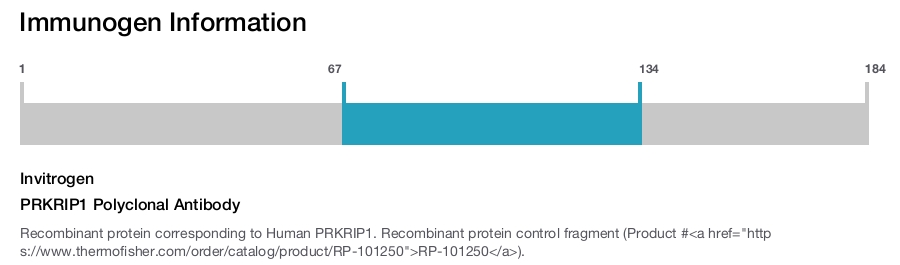 PRKRIP1 Polyclonal Antibody