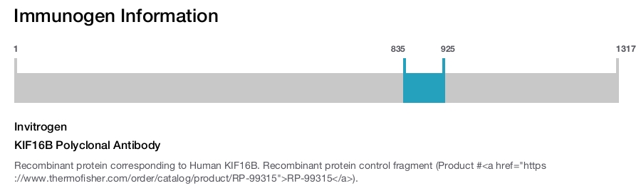 KIF16B Polyclonal Antibody